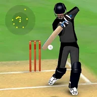 Ícone do jogo Smashing Cricket